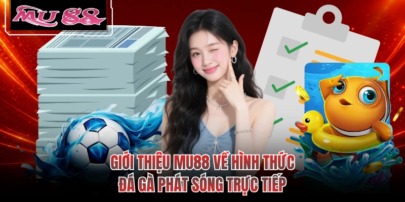Giới thiệu MU88 về hình thức đá gà phát sóng trực tiếp